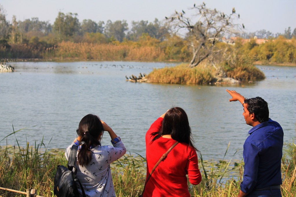 Watching birds at a lake in Delhi. Photo by Meghna Joshi