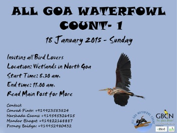 All Goa Waterfowl Count - Bird Count India