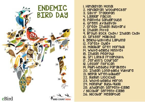 Endemic Bird Day India