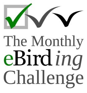 ebirding-challenge-logo-800px-281x300