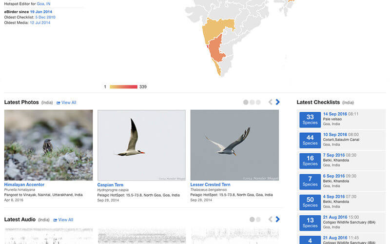 EBird Profile Pages Are Here! – Bird Count India