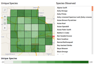 Map of bird species diversity across Mysore city. Darker squares have more species.