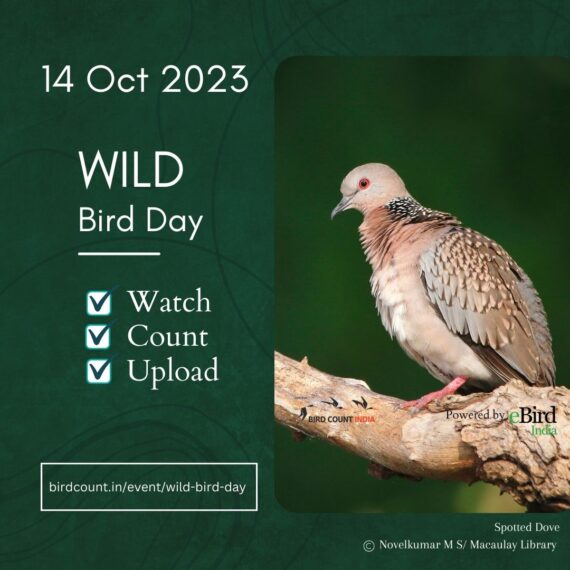 Wild Bird Day 2023 Social Media Poster2
