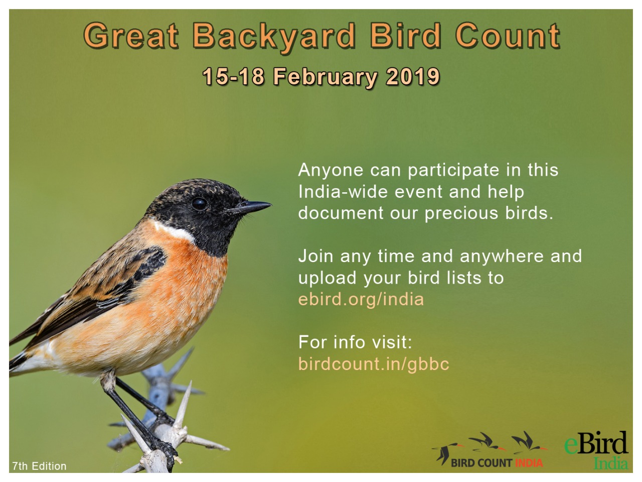 Great Backyard Bird Count 2019 Bird Count India