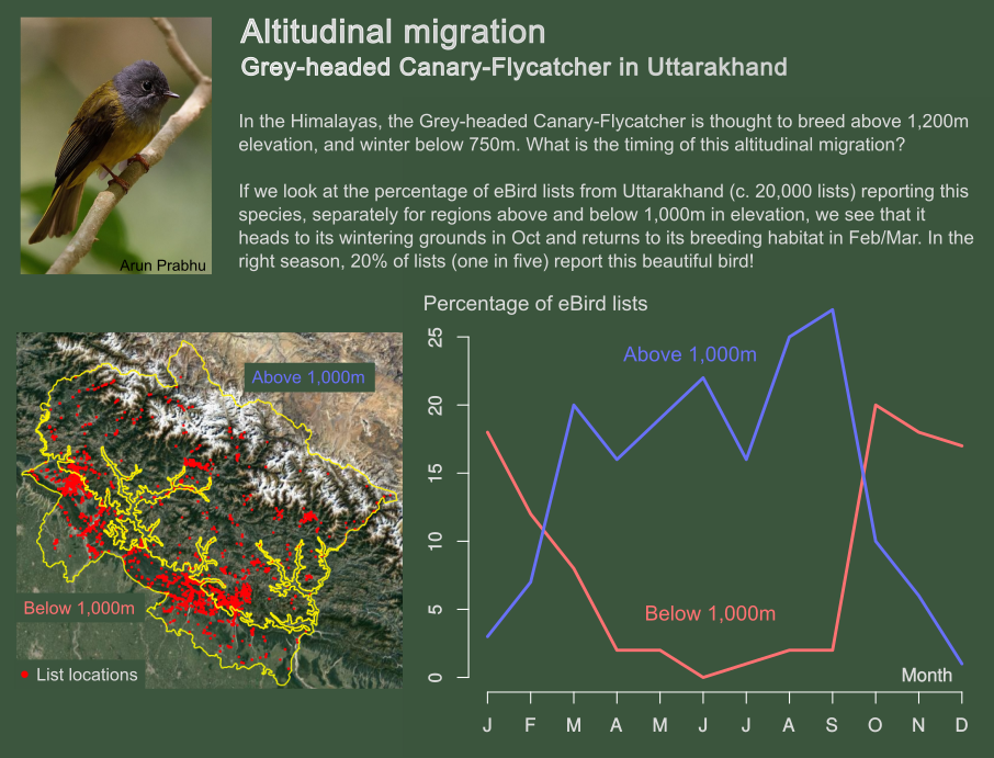 Birders documenting bird migration - Bird Count India