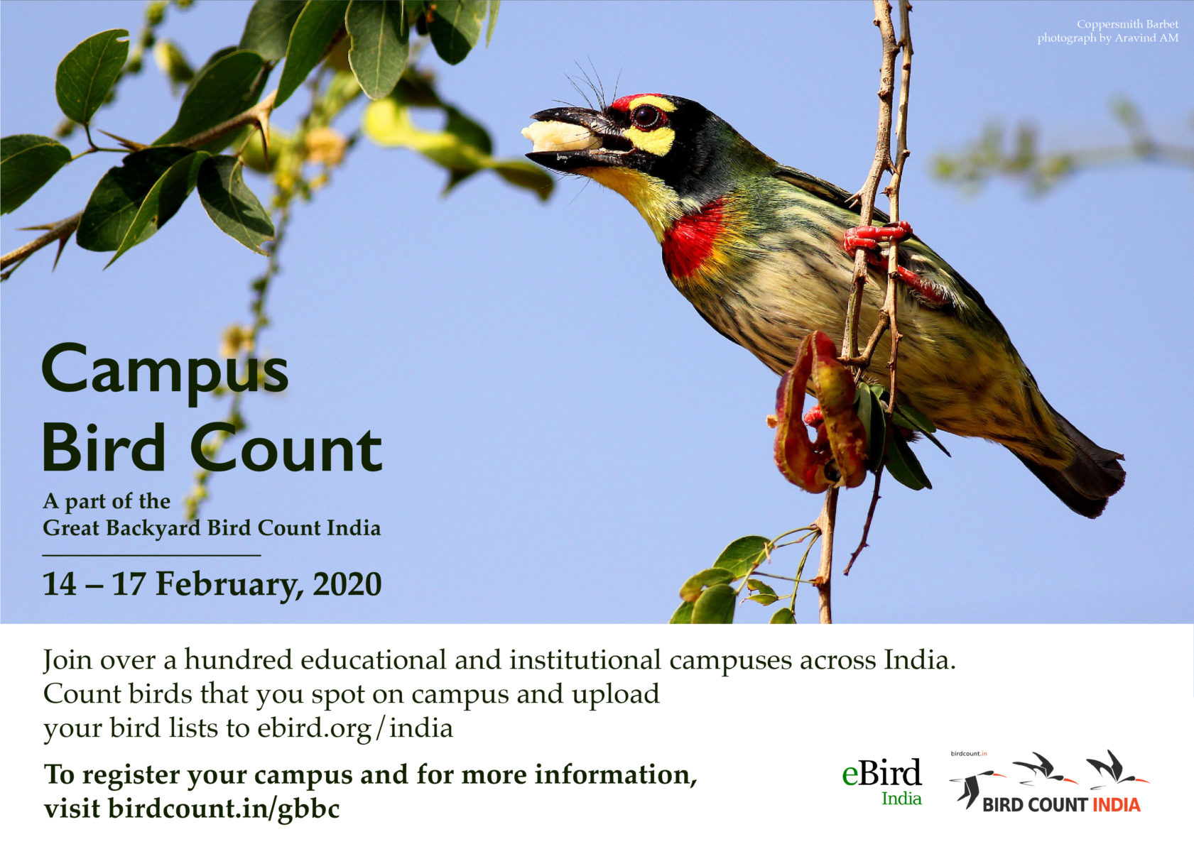 Campus Bird Count 2020 - Bird Count India