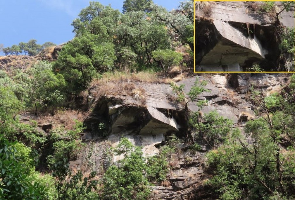 Yellow-rumped Honeyguide Habitat in Uttarakhand photographed by Shasank Ongole