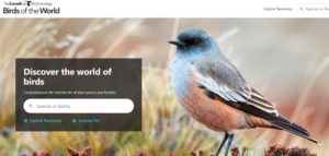 Birds of the World is now free for birders in India!