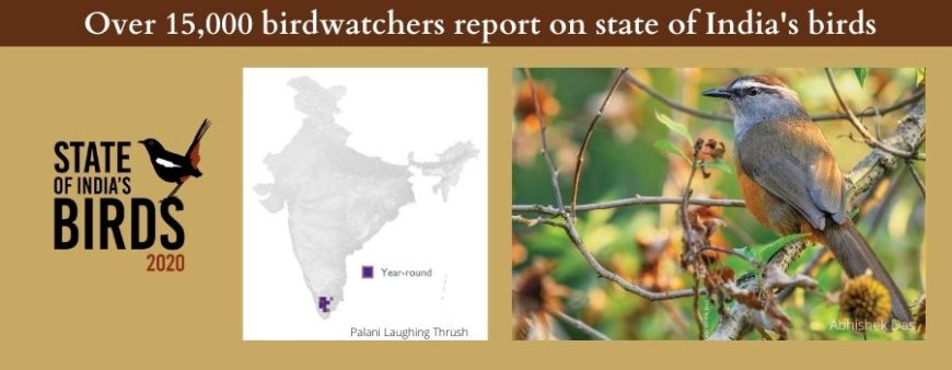 Home - Bird Count India