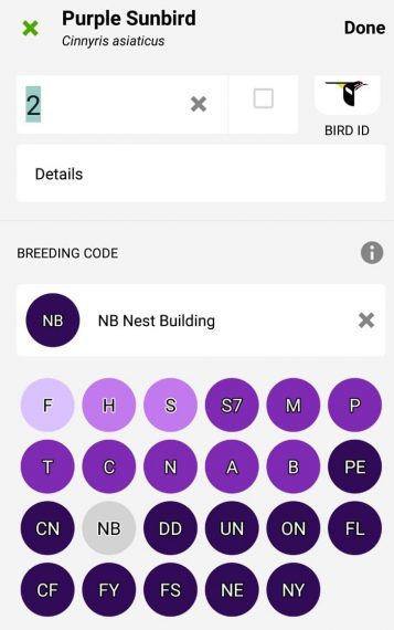 Screenshot of how a breeding code looks like in eBird App