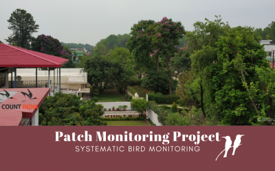 Patch Monitoring Project—Systematic Bird Monitoring