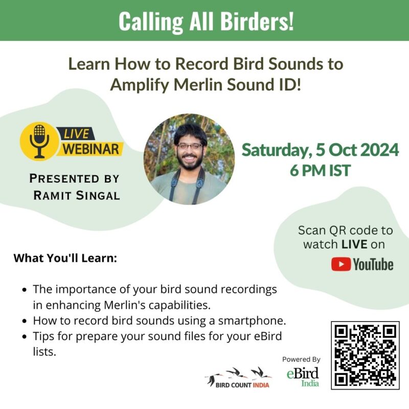 Poster announcing a webinar on how to record bird sound recordings using smartphones and how to upload to eBird checklists