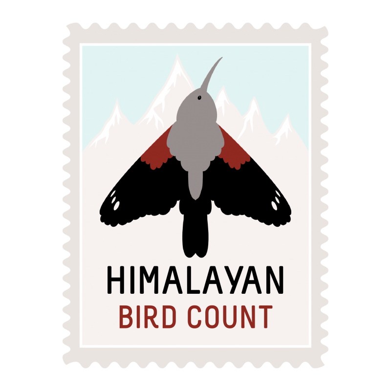 A logo with Wallcreeper bird for the Himalayan Bird Count event.