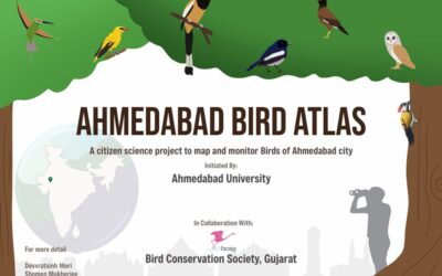 Ahmedabad Bird Atlas