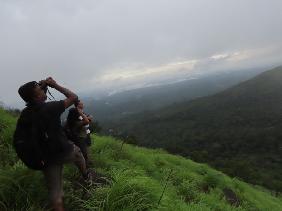 People watching birds from a hill top in Western Ghats