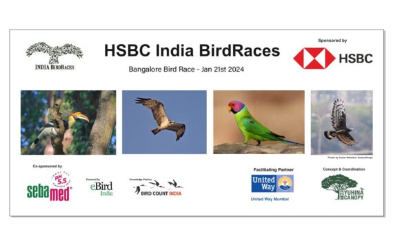HSBC Bangalore Bird Race Jan 2024