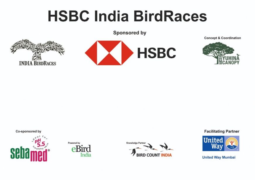 HSBC Bangalore Bird Race Jan 2024