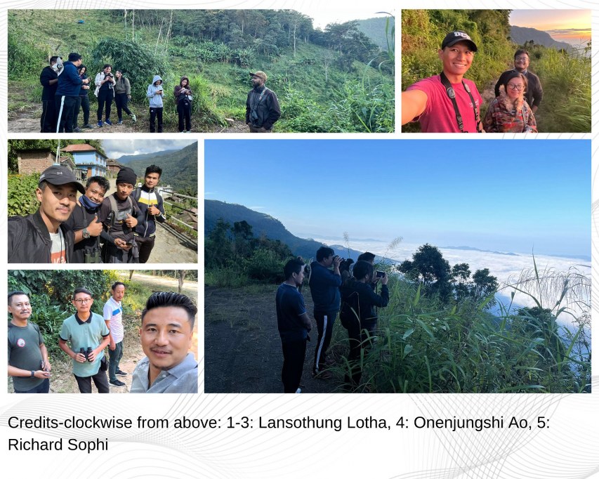 Collaged of birding groups in various districts of Nagaland participating in Tokhu Emong Bird Count 2022