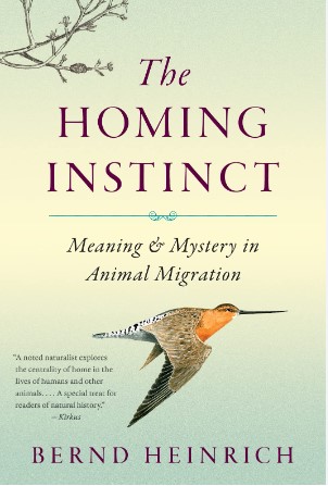 Screenshot of the book - The Homing Instinct