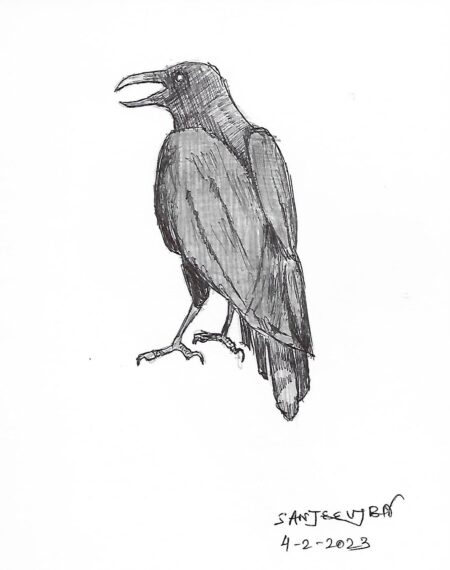 Sketch of a crow by Sanjeev Nalavade
