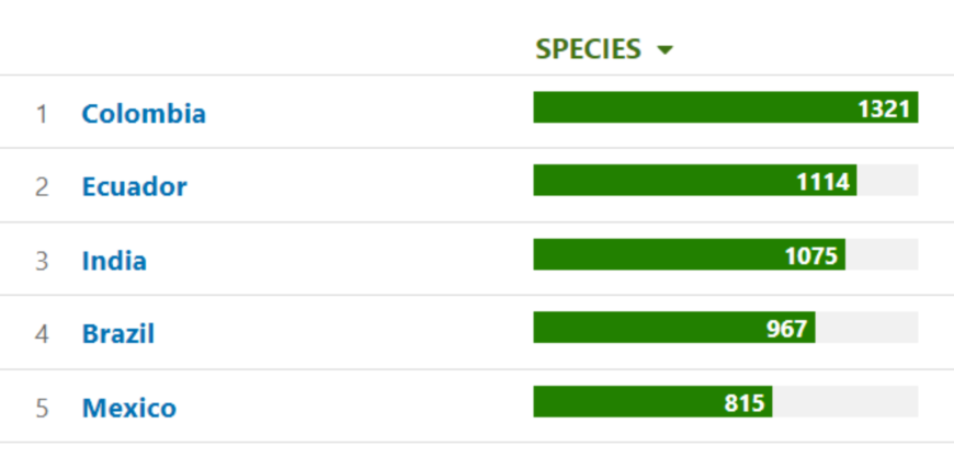 Top 5 countries in terms of species reporting during GBBC 2023