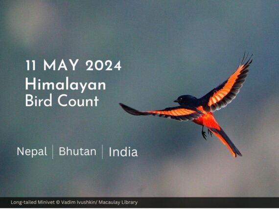 Himalayan Bird Count 2024 Banner for Website