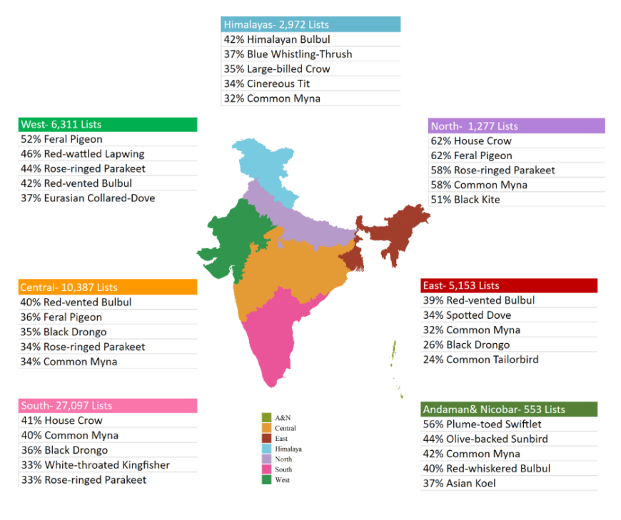 India Map showing top 5 frequently reported species during GBBC 2023
