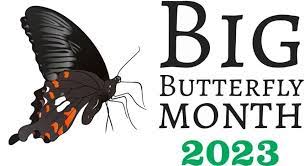 Poster from Big Butterfly Month 2023 Facebook