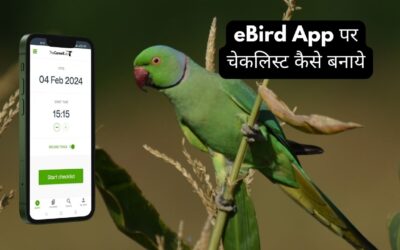 Celebrating GBBC–Launch of a New Hindi Video!