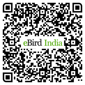 QR Code for eBird