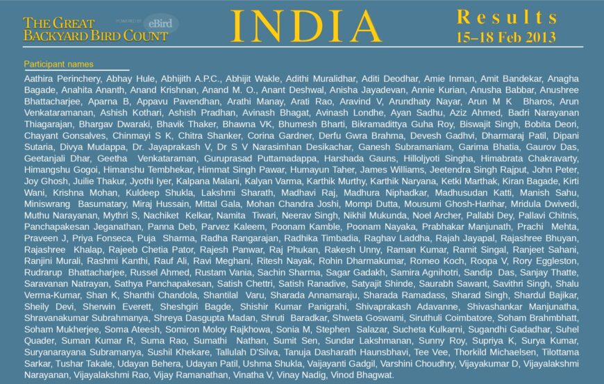 Great Backyard Bird Count 2013 India Report