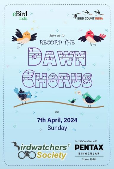 Poster designed by Birdwatchers Society for Dawn Chorus Day 2024