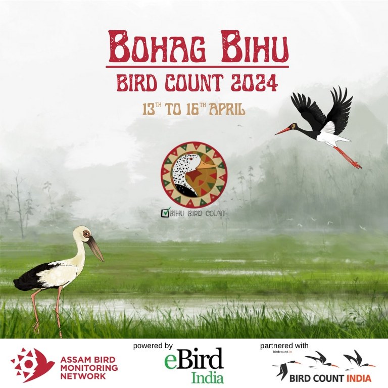 Bohag Bihu Bird Count 2024 Poster in Assamese