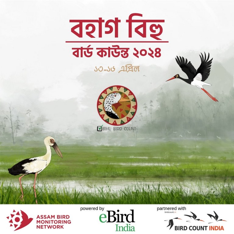 Bohag Bihu Bird Count 2024 Poster in English