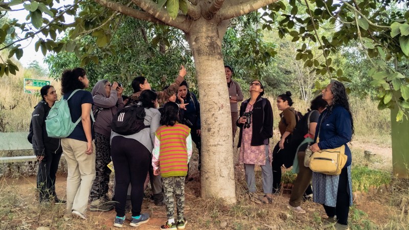 Women inspecting a tree trunk to look at a Spider. Photograph taken during the All Women Nature Walk at Turahalli Tree Park, Bangalore