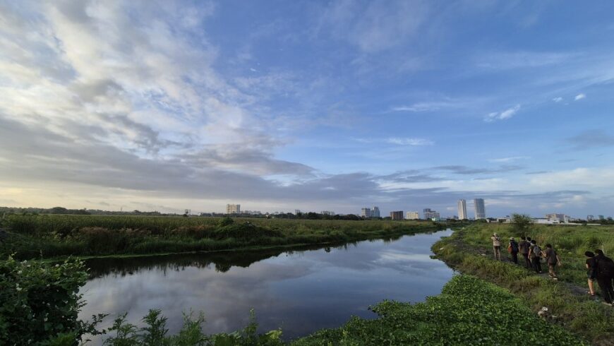 Habitat Shot of Rajarhat Wetland- a popular birding hotspot in Kolkata