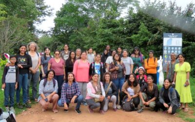 AWNW: Turahalli Tree Park Bangalore Walk Recap