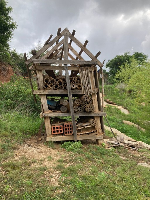 A Bee Hotel located inside the Turahalli Tree Park, Bangalore. Photographed by Meenakshi