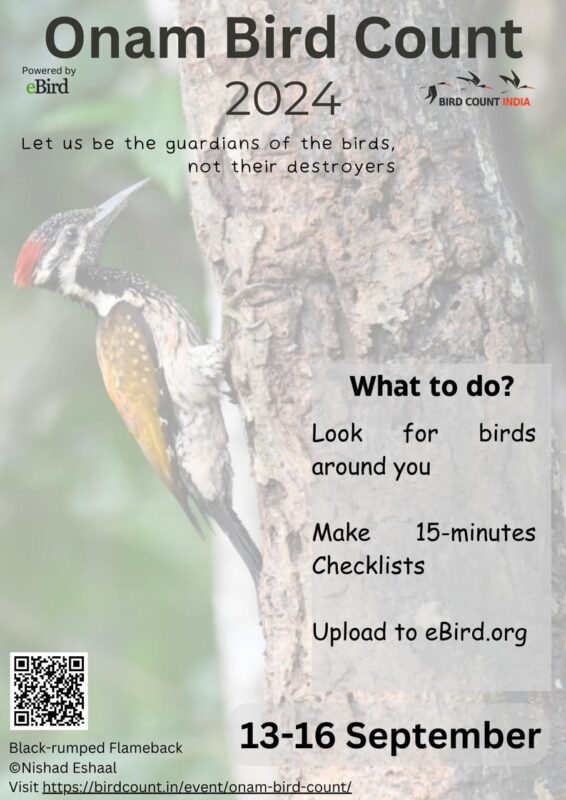 Poster for Onam Bird Count 2024 with Black-rumped Flameback as background