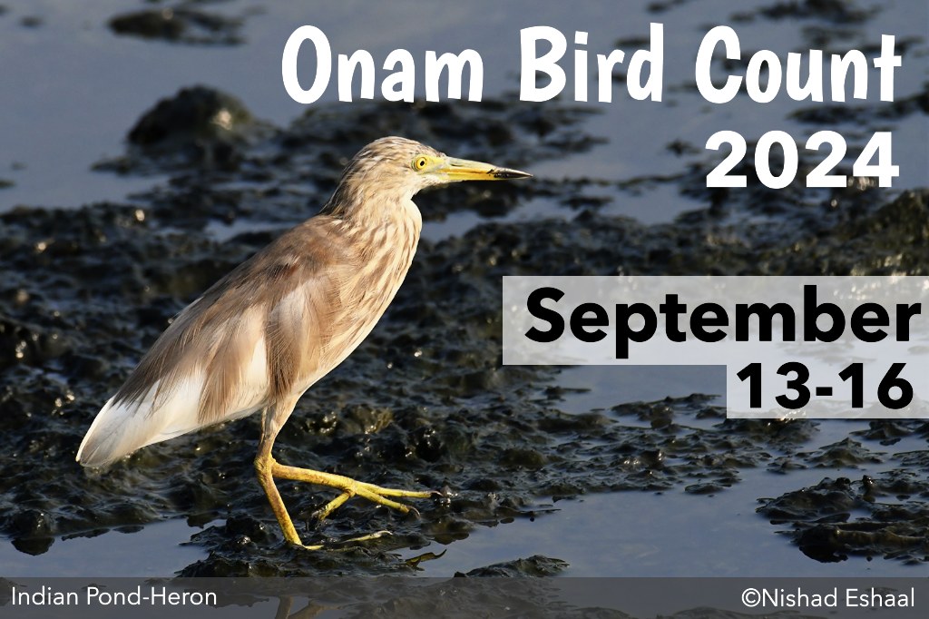 A poster advertising a Indian Pond heron at a wetland.