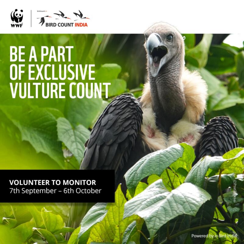 Poster for Vulture Count 2024 created by WWF India