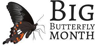 Big Butterfly Month Sticker