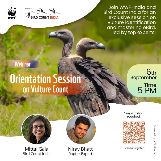 Poster on WWF India's Vulture Count Webinar on Vulture ID