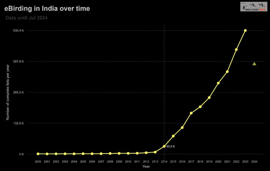 Graph showing eBird growth in India from year 2000 to year 2024