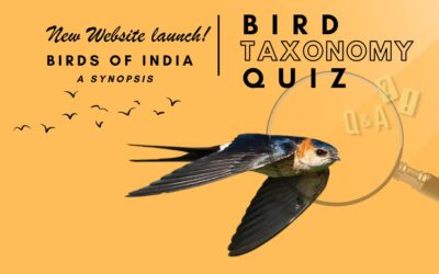 New Launch of ‘Birds of India’ – A Synopsis