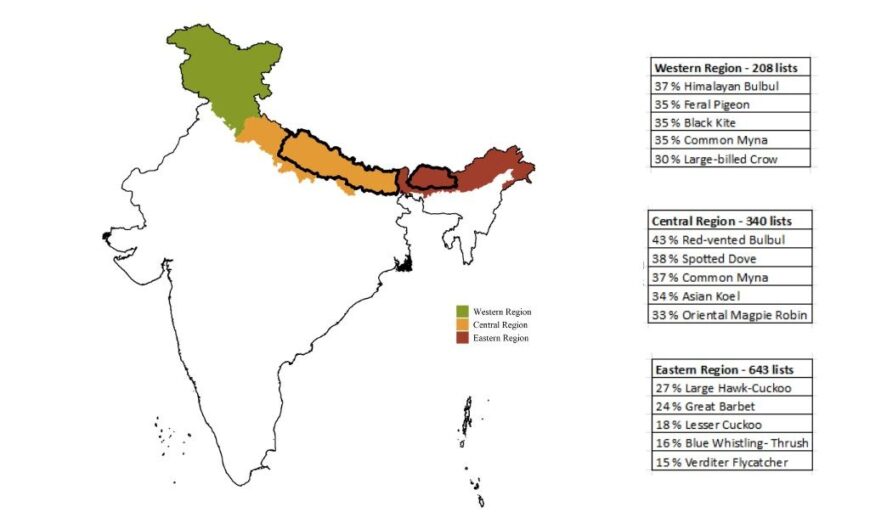 Map showing Top 5 most commonly reported species during Himalayan Bird Count 2024 from three broad himalayan regions of three countries