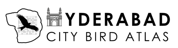 hydrebad bird atlas logo