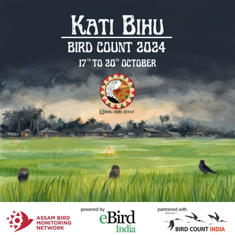  Social media poster advertising a regional bird count event in Assam, India. The poster has the event name- Kati Bihu Bird Count, the dates- 17 to 20 October 2024 and logos of Assam Bird Monitoring Network and their partners