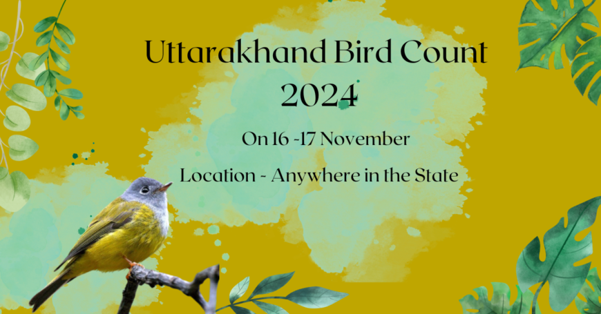 Uttarakhand Bird Count 2024 Banner with Grey-headed Flycatcher