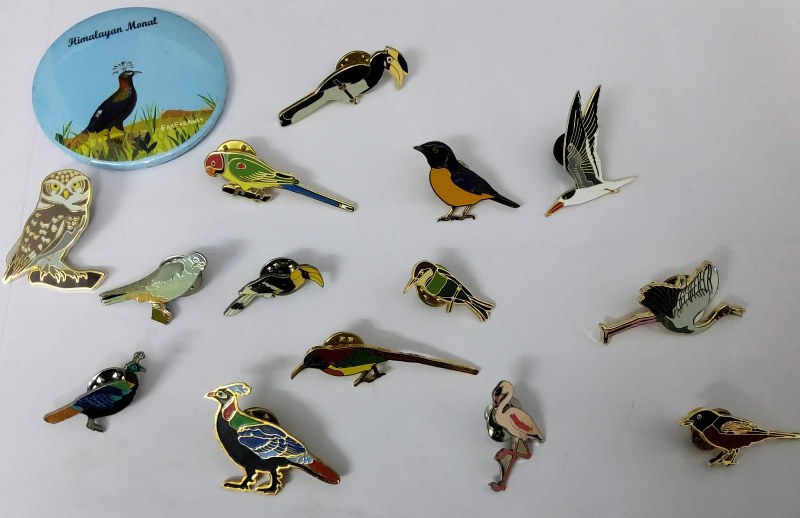 Bird Pin Collection by Urmi Neogi